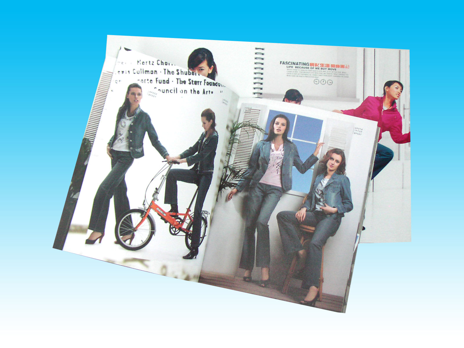 Brochure Printing and Its Use